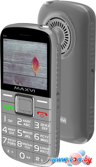 Мобильный телефон Maxvi B5 (серый) в Бресте