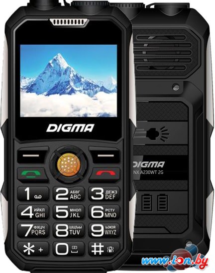 Мобильный телефон Digma Linx A230WT 2G (черный) в Бресте