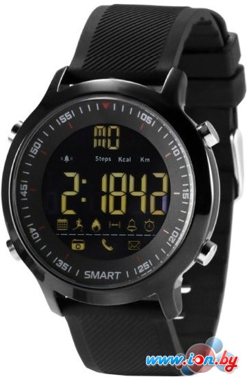 Умные часы Miru EX18 (черный) в Гродно