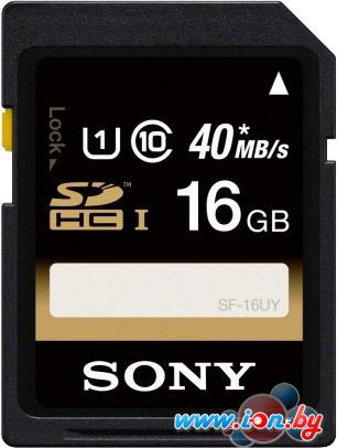 Карта памяти Sony Experience SDHC UHS-I (Class 10) 16GB (SF16UYT) в Могилёве