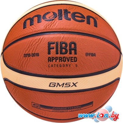 Мяч Molten BGM5X (5 размер) в Гомеле