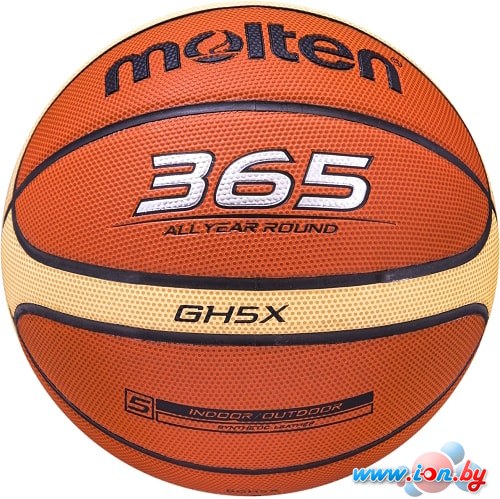Мяч Molten BGH5X (5 размер) в Бресте