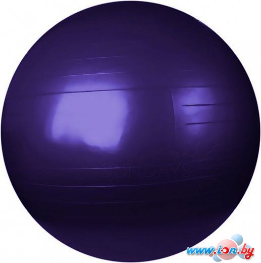 Мяч Sundays Fitness IR97402-65 (фиолетовый) в Витебске