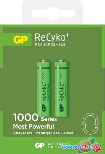 Аккумуляторы GP ReCyko+ AAA 950 mAh 2 шт. 100AAAHCE-2GBE2 в Витебске