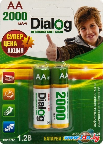 Аккумуляторы Dialog AA 2000mAh 2 шт. [HR6/2000-2B] в Витебске