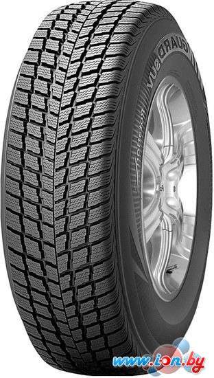 Автомобильные шины Roadstone Winguard Ice 215/55R17 94Q в Могилёве