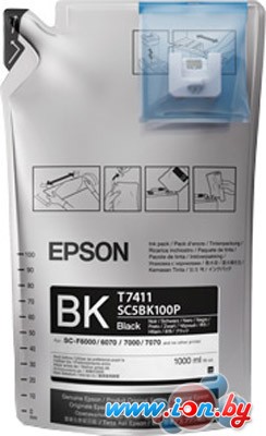 Картридж Epson C13T741100 в Могилёве