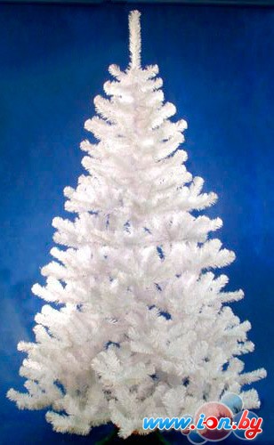 Ель Morozco Метелица 2.1 м [1021] в Могилёве