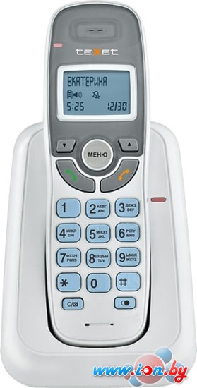 Радиотелефон TeXet TX-D6905A (белый) в Гомеле