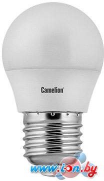 Светодиодная лампа Camelion G45 E27 5 Вт 4500 К [12030] в Витебске