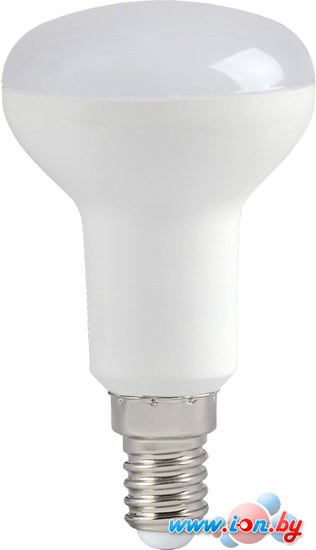Светодиодная лампа IEK ECO R50 E14 5 Вт 4000 К в Витебске