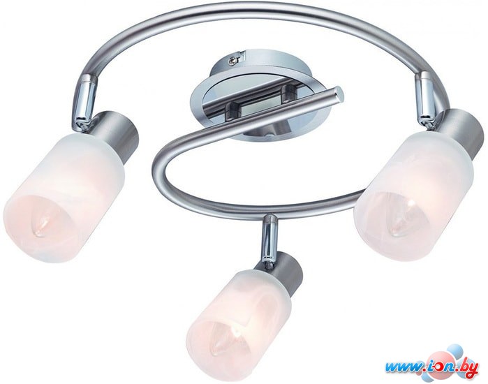 Точечный светильник Arte Lamp Cavaletta A4510PL-3SS в Могилёве