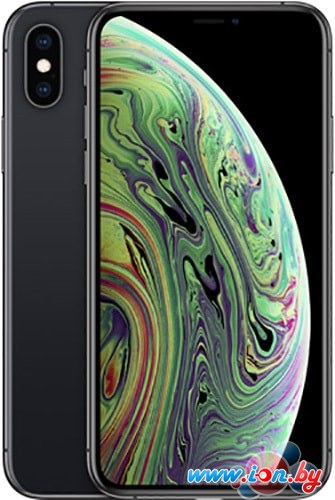 Смартфон Apple iPhone XS 64GB (серый космос) в Минске