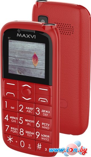 Мобильный телефон Maxvi B7 (красный) в Витебске