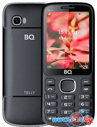 Мобильный телефон BQ-Mobile BQ-2808 Telly (серый) в Бресте