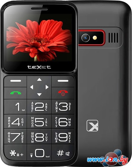 Мобильный телефон TeXet TM-B226 (черный) в Бресте