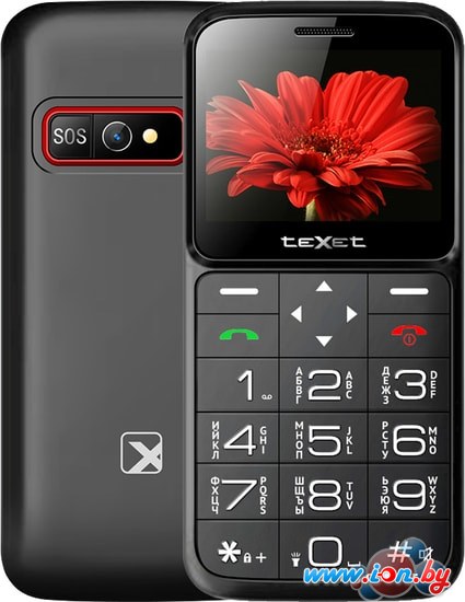 Мобильный телефон TeXet TM-В226 (черный) в Витебске