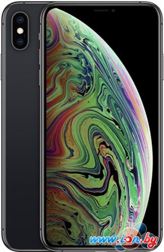 Смартфон Apple iPhone XS Max 256GB (серый космос) в Могилёве