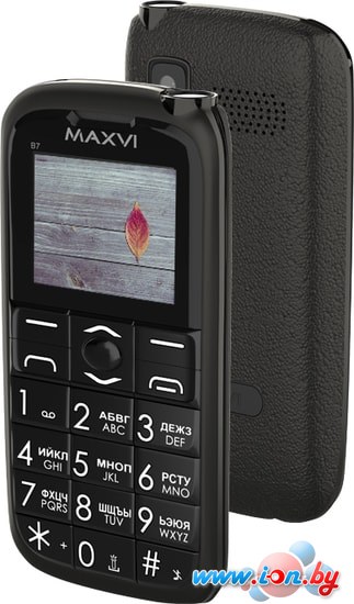 Мобильный телефон Maxvi B7 (черный) в Могилёве