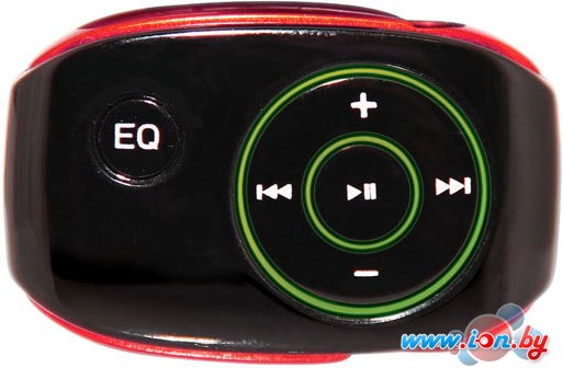 MP3 плеер Ritmix RF-2250 (8GB) в Бресте