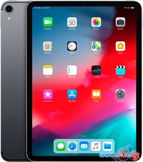 Планшет Apple iPad Pro 11 256GB MTXQ2 (серый космос) в Бресте