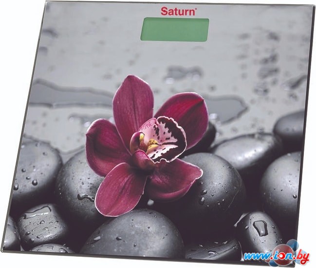 Напольные весы Saturn ST-PS0238 в Могилёве