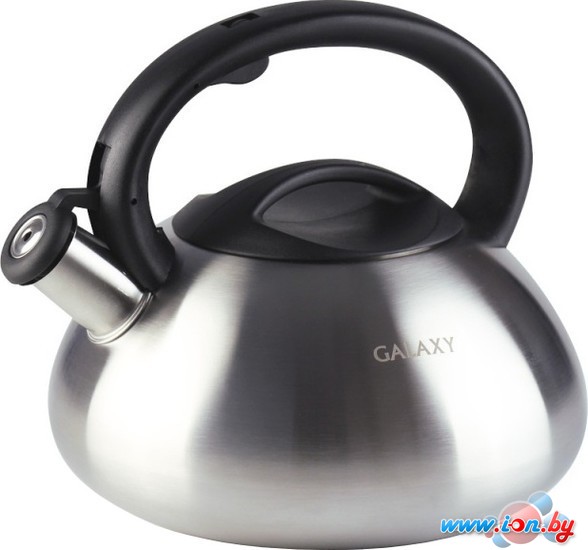 Чайник со свистком Galaxy GL9212 в Гомеле