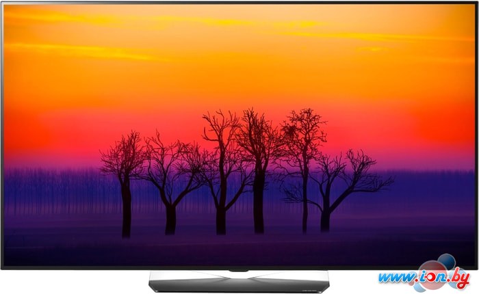 Телевизор LG OLED55B8S в Витебске