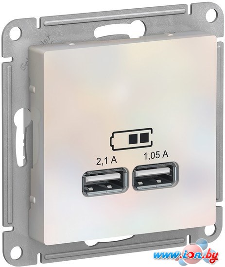 Розетка USB Schneider Electric Atlas Design ATN000433 в Могилёве