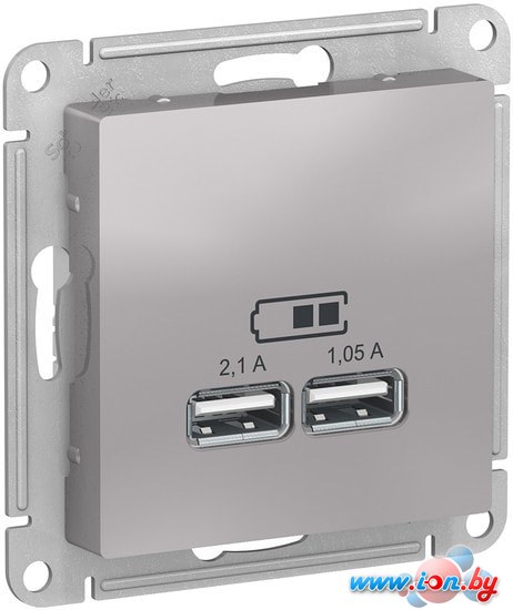 Розетка USB Schneider Electric Atlas Design ATN000333 в Могилёве