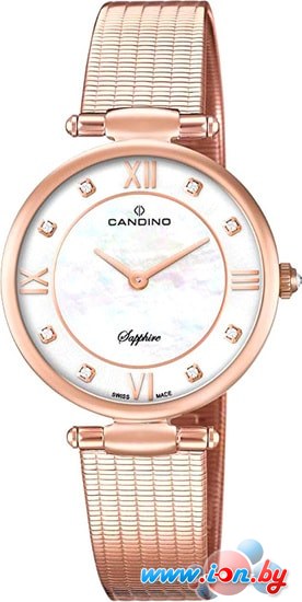 Наручные часы Candino C4668/1 в Могилёве