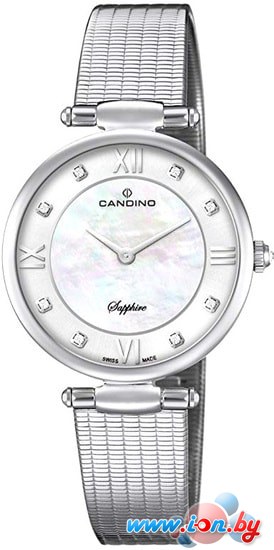 Наручные часы Candino C4666/1 в Могилёве