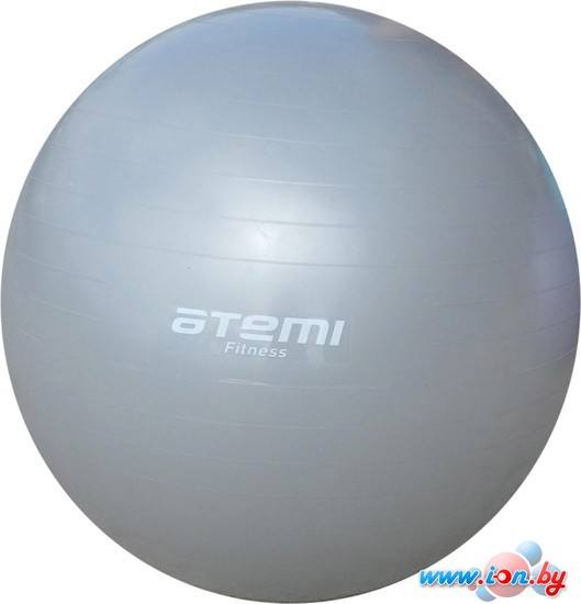 Мяч Atemi AGB-01-85 в Бресте