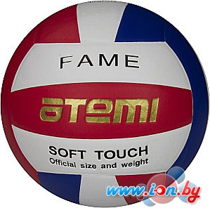Мяч Atemi Fame в Бресте