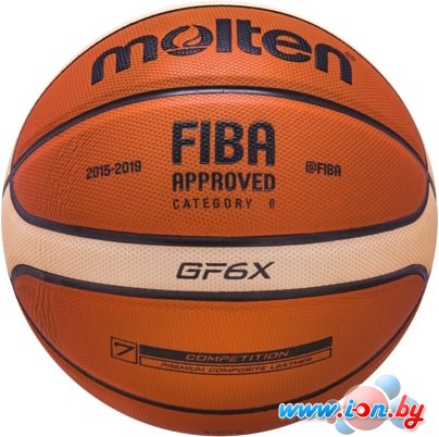 Мяч Molten BGF6X (размер 6) в Бресте