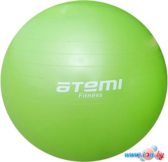Мяч Atemi AGB-01-55 в Гомеле