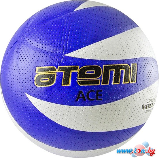 Мяч Atemi Atemi Ace в Бресте