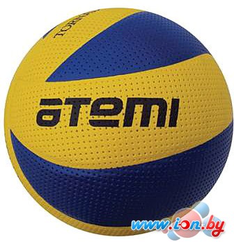 Мяч Atemi Tornado (желтый/синий) в Бресте