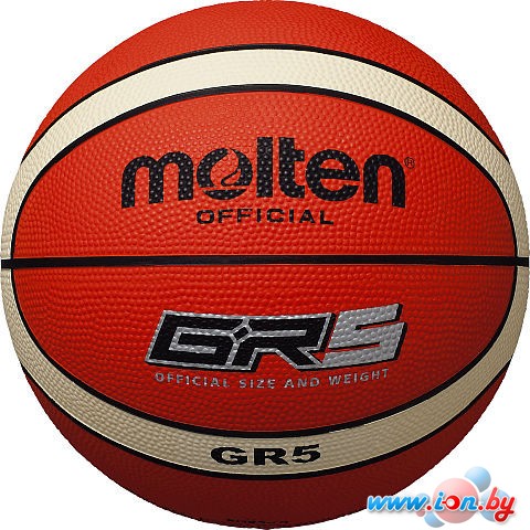 Мяч Molten BGR5-OI (5 размер) в Гомеле