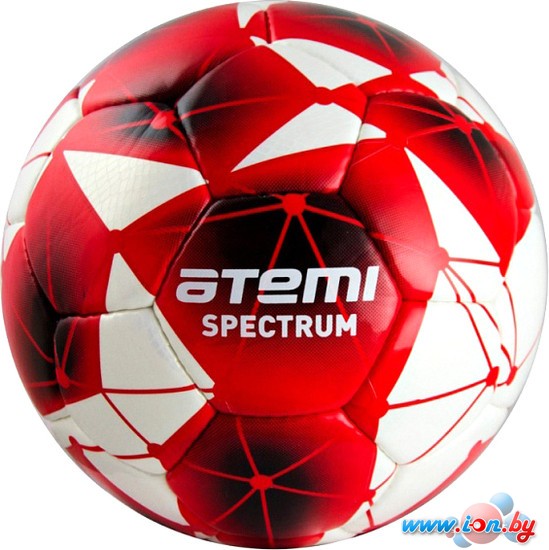 Мяч Atemi Spectrum PU (5 размер) в Бресте