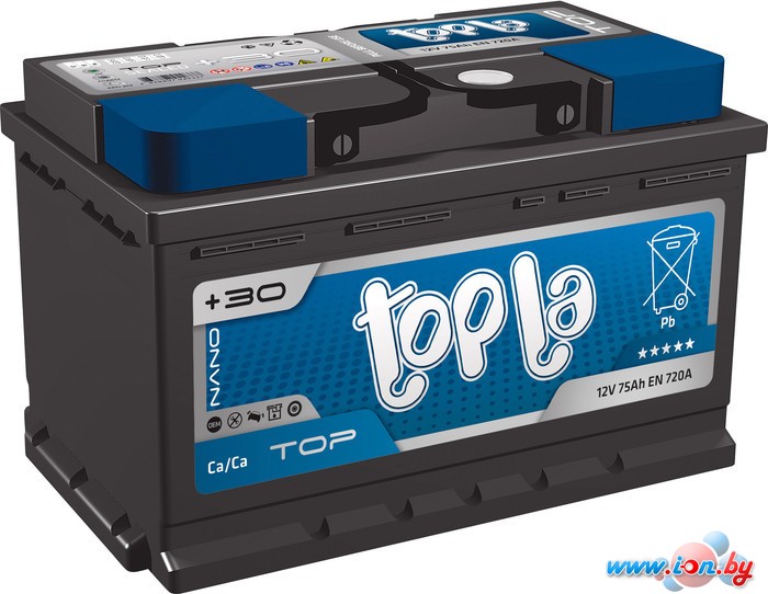 Автомобильный аккумулятор Topla TOP (78 А/ч) (118678) в Могилёве