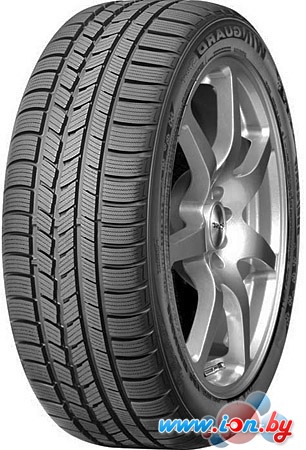Автомобильные шины Roadstone Winguard Sport 205/55R16 91T в Могилёве