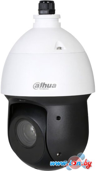 CCTV-камера Dahua DH-SD49225I-HC в Витебске