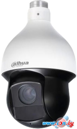 IP-камера Dahua DH-SD49225T-HN-S2 в Бресте