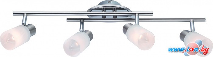 Точечный светильник Arte Lamp Cavalletta A4510PL-4SS в Могилёве