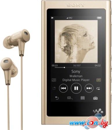 MP3 плеер Sony NW-A55HN 16GB (золотистый) в Бресте