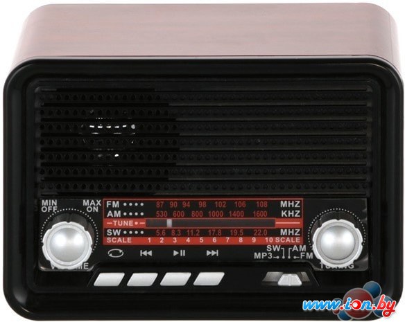 Радиоприемник Ritmix RPR-030 (черный/бордовый) в Гомеле