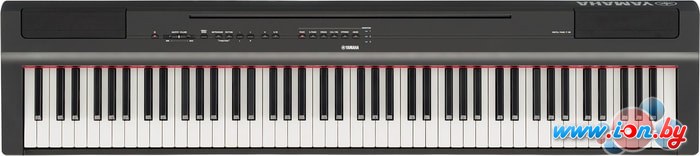 Цифровое пианино Yamaha P-125BK в Бресте