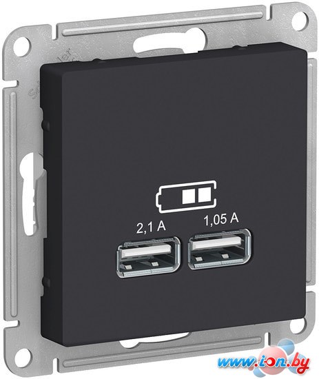 Розетка USB Schneider Electric Atlas Design ATN001033 в Гомеле