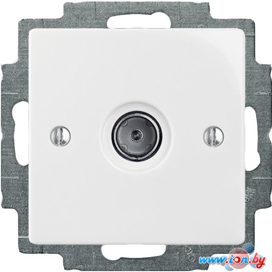 Розетка телевизионная ABB Basic 55 1724-0-4276 в Могилёве